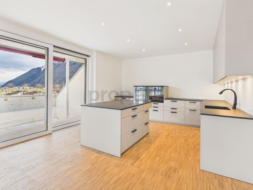 Moderne 4.5-Zimmer-Attikawohnung mit Balkon, Brunnen - Image 3