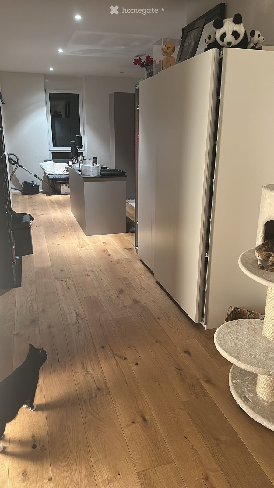 Nachmieter gesucht per 01.11.2026 – schöne 1,5 Zimmer-Wohnung in 6014 Luzern - Bild 3