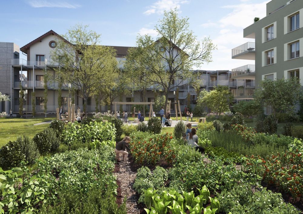 Moderne 2.5-Zimmer-Wohnungen in Egnach - Erstbezug Sommer 2026 - Bild 4