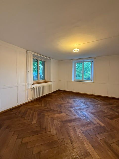 Erstvermietung nach Renovation, grosszügige 3.5-Zimmer-EG-Wohnung mit Terrasse und Garten - Bild 4