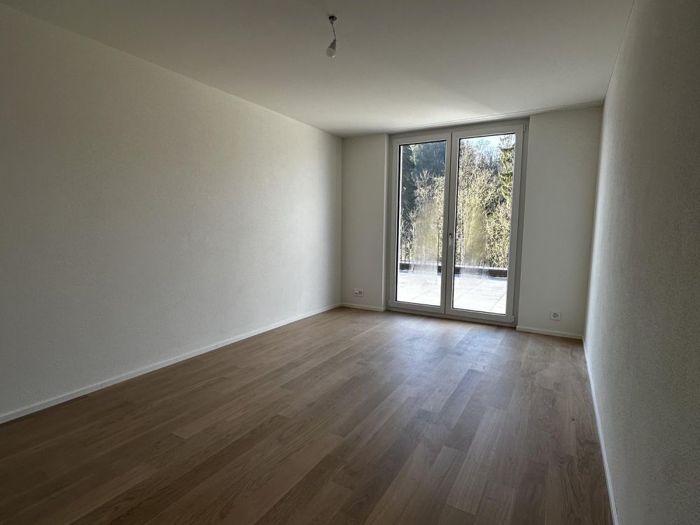 Erstvermietung - traumhafte 5.5-Zimmer-Attikawohnung mit grosser Terrasse und Blick ins Grüne - Bild 10