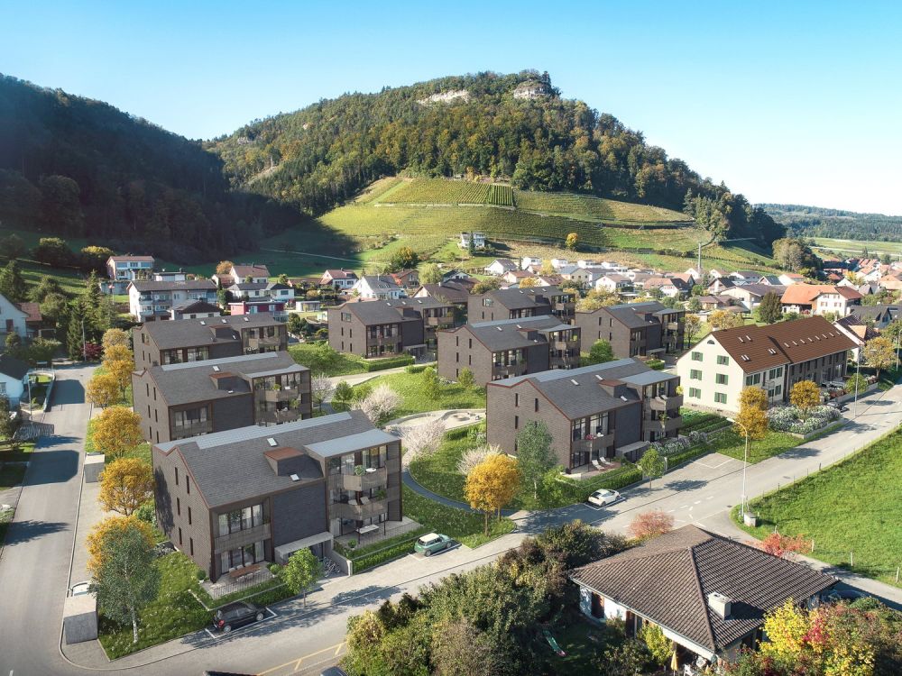 Obsteinen-Villigen: Perfektes Wohnen zwischen Natur und Moderne - Bild 7