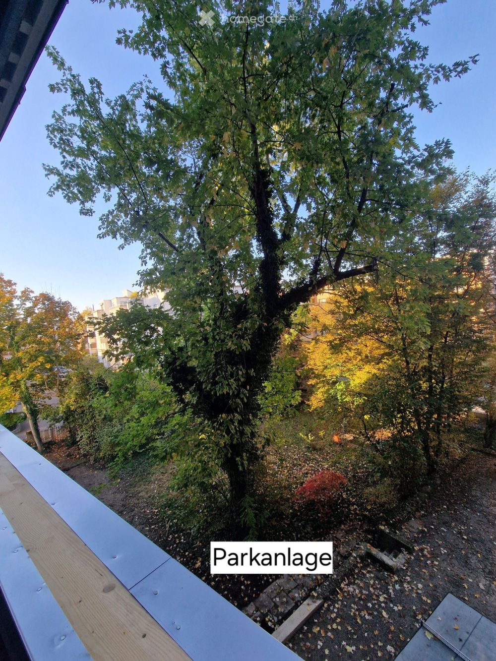 Lichtdurchflutete und grosszügige 4.5-Zimmerwohnung,  ab 1. Dezember 2026 zu vermieten - Bild 10