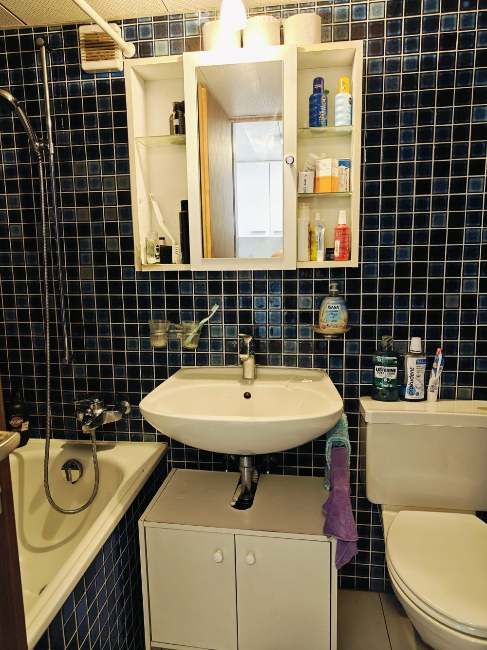 Möbiliertes 1.5-Zimmer-Studio mit Bergblick in Naters - Bild 3
