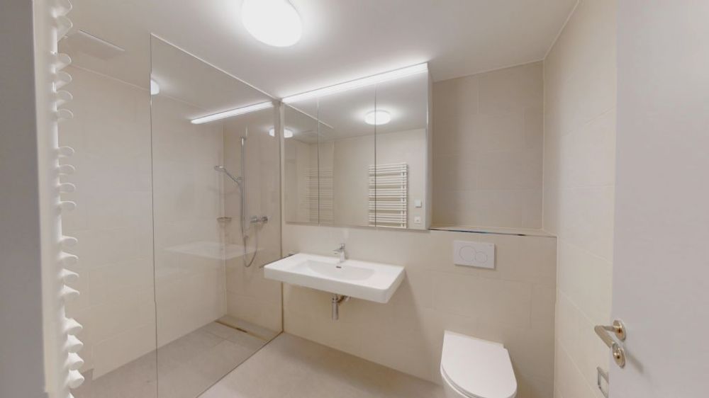 NEU BAU | NATURNAH | SEEBLICK - Dusche/WC