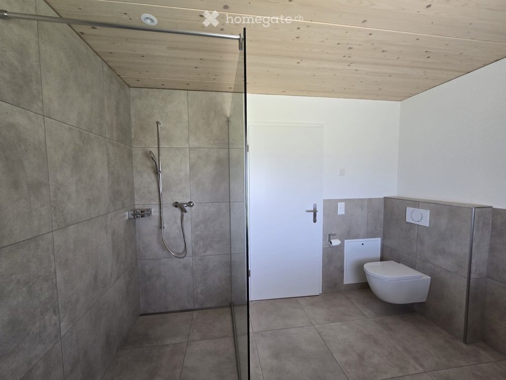Erstvermietung: 2.5 Zimmerwohnung mit Aussicht - Bild 3