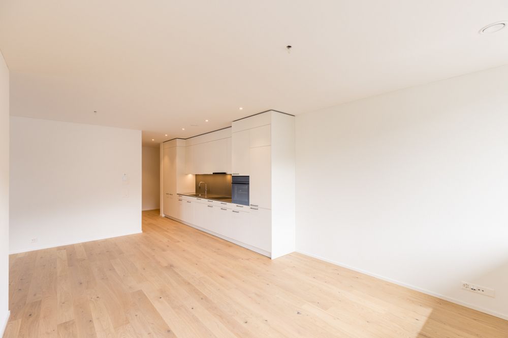 Kappelerhof Baden - grosszügig und neuwertig Wohnen - Wohnzimmer