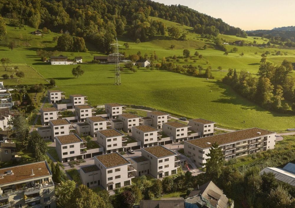 Roots - Bild 11
