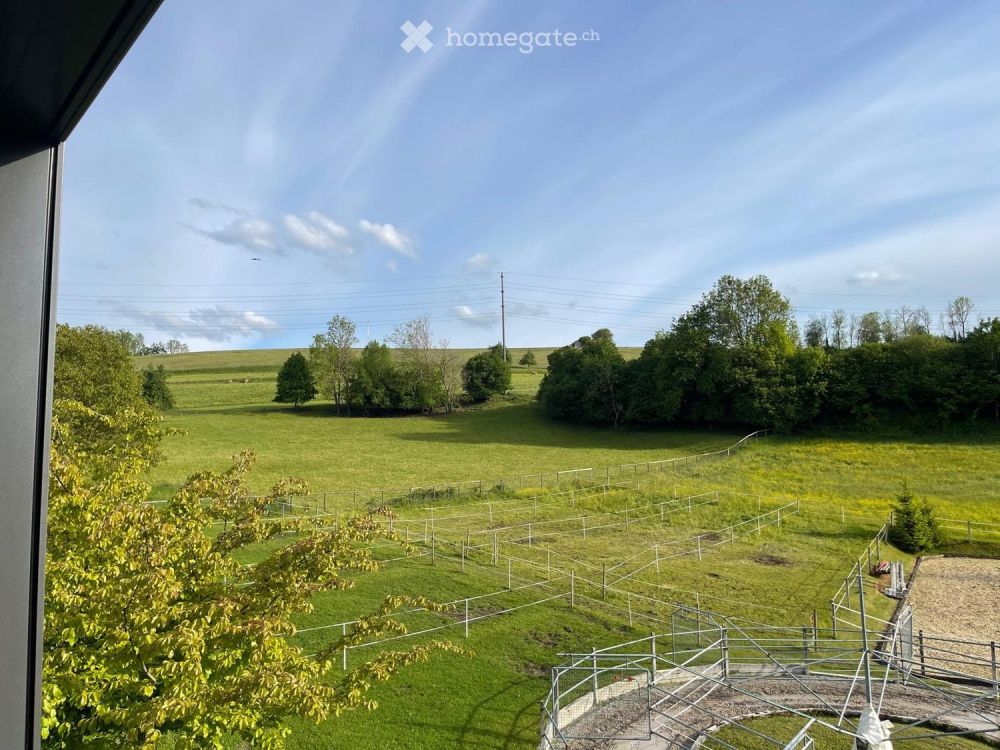 Grosszügige und ruhige 3,5 -Zi. Wohnung im Dachgeschoss in Braunau (TG) - Bild 1