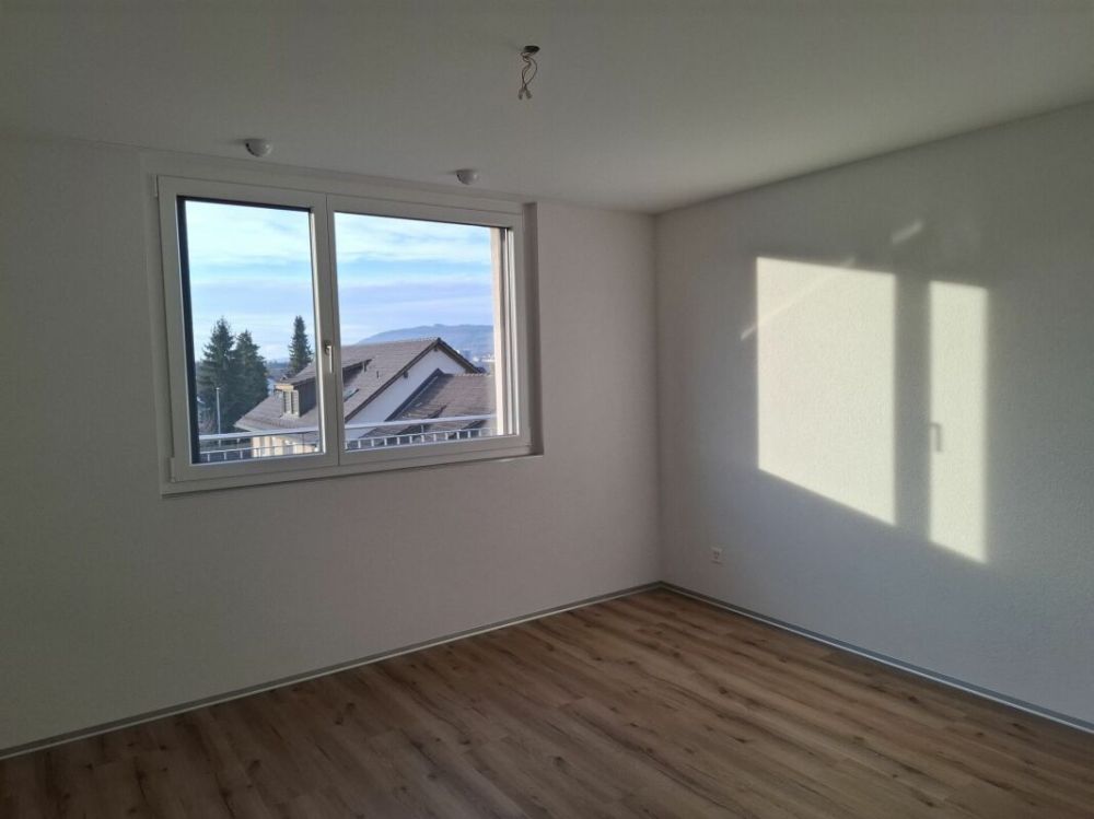 ERSTBEZUG - Attika-Wohnung - Bild 3