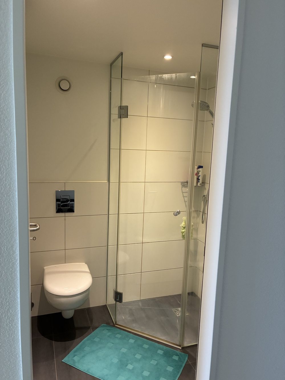 3½ ZIMMER-DACHWOHNUNG IN KERZERS (FR), MÖBLIERT, TEMPORÄR - Bild 7
