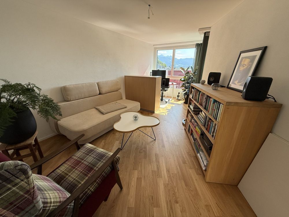 BEFRISTET: Möblierte 4.5-Zimmer-Wohnung mit Dachterrasse und Aussicht in Luzern - Bild 11