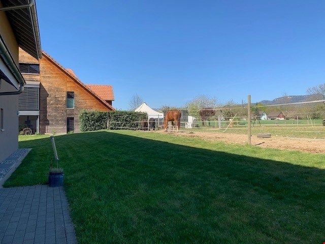 Grossräumige Maisonettewohnung an ruhiger Lage - Bild 9