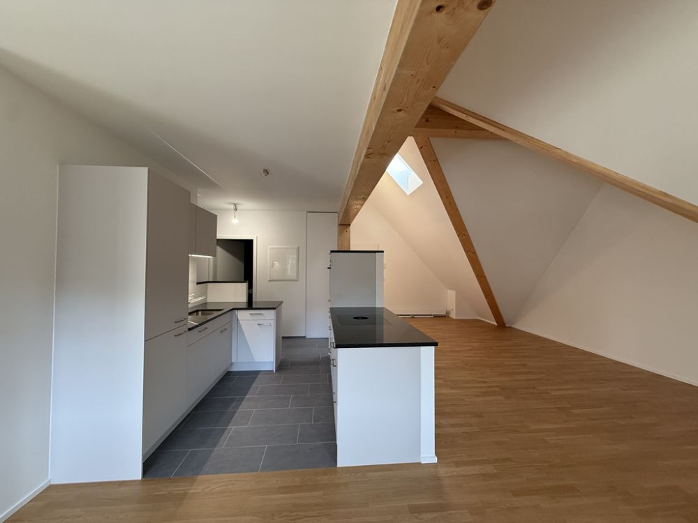 Neubau-Wohnung im historischen Schlossensemble, 20 Min. von Basel - Bild 5