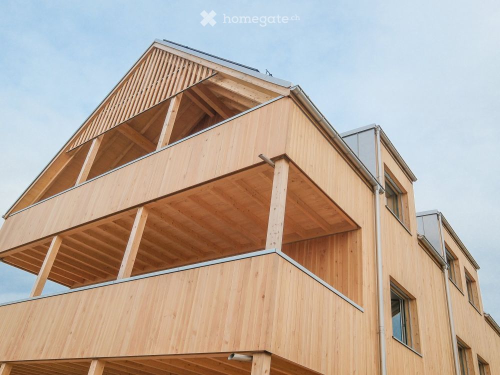 Erstvermietung 4.5  Zimmer Wohnung mit grossem Balkon, Werkraum und Reduit - Bild 2