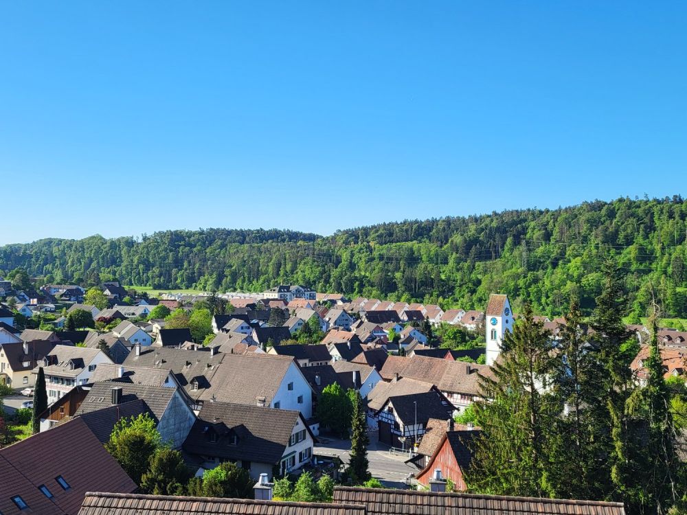 Modernes Neubauprojekt an attraktiver Hanglage von Glattfelden – Wohnen im Grünen mit Komfort - Bild 2
