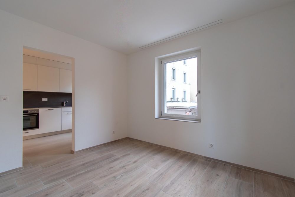 Erstvermietung gemütliche 1.5 Zimmer-Wohnung - Bild 5