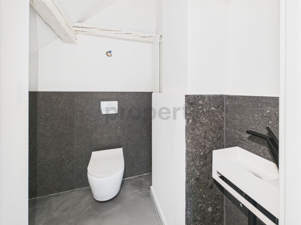 Modernes Loft mit Charme und Aussicht  Wohnen über den Dächern von Lichtensteig - Image 6