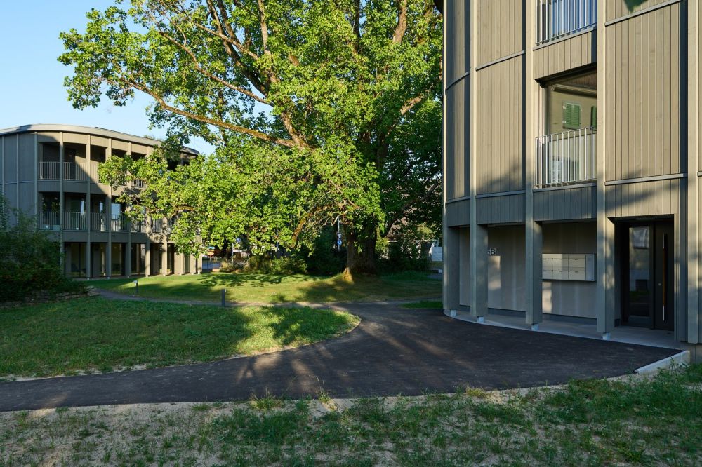 Wohnen bei LE - Bild 1