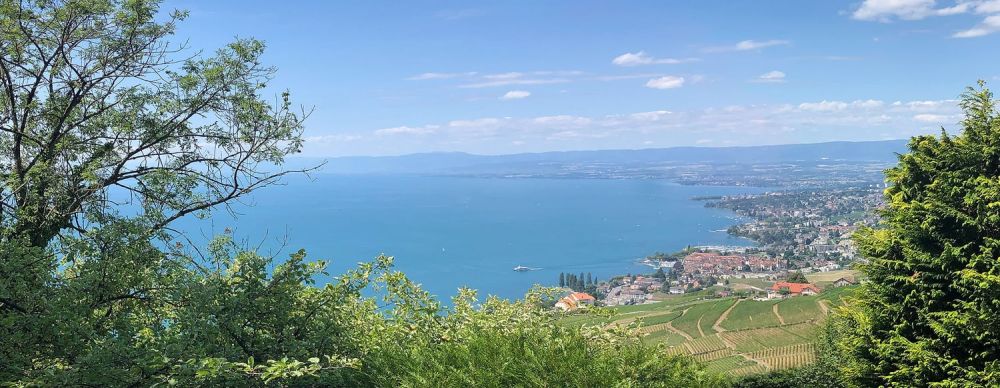 Grandvaux – Résidence « Le Genevrey » Magnifiques 4.5 pièces neufs avec vue exceptionnelle - Bild 1