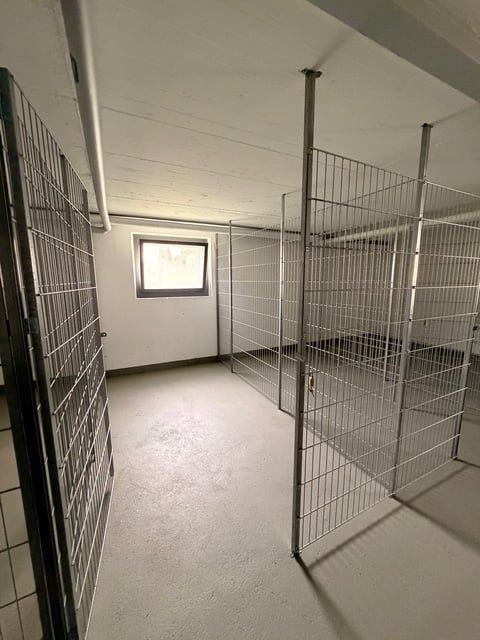 Erstvermietung nach Renovierung – Moderne 1.5-Zimmerwohnung in Trimbach - Bild 6
