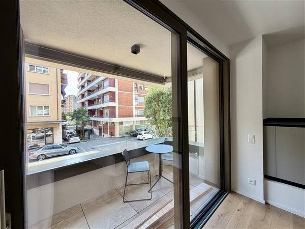 Cassarate: Appartamento arredato  1.5 locali - Terrazzo