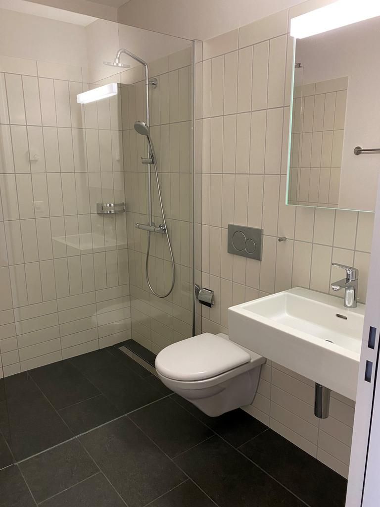 Attraktive 4.5 Zimmer-Neubauwohnung an ruhiger Lage - Bild 7