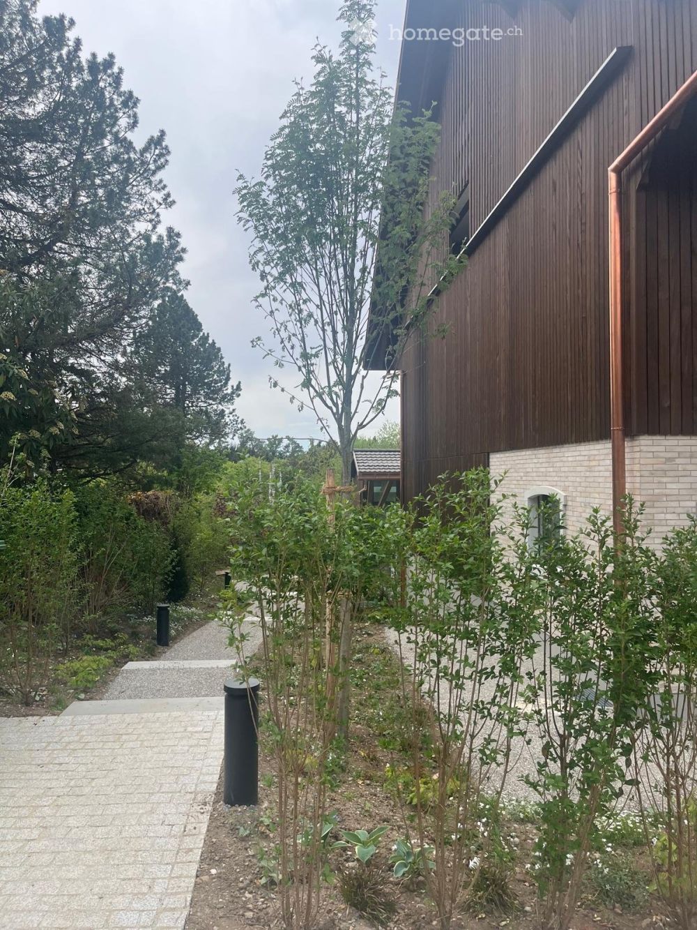 Erstvermietung: Exklusive 3.5-Zimmer-Neubauwohnung in Zollikerberg - Bild 2