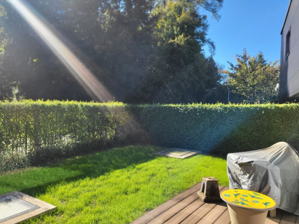 Neubau Gartenwohnung direkt am Waldrand in Zollikerberg - Bild 3