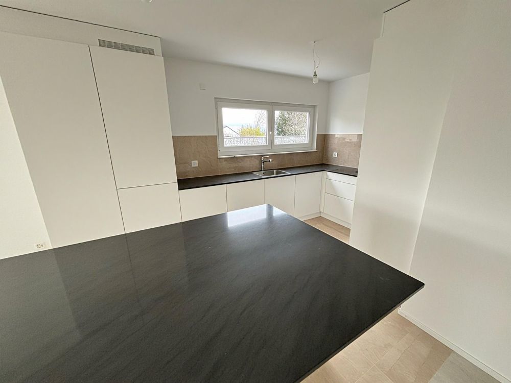 Moderne 5,5-Zimmer-Villa mit Garten in Ecublens (VD) - Bild 3