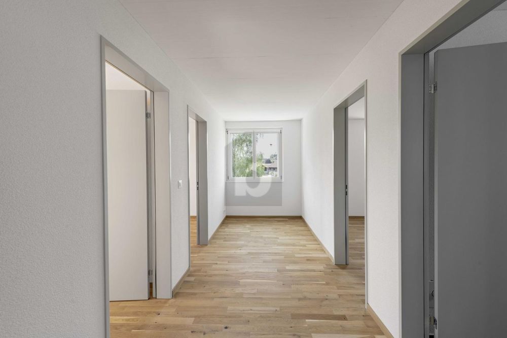 NACHHALTIGER NEUBAU IM GRÜNEN - Bild 4