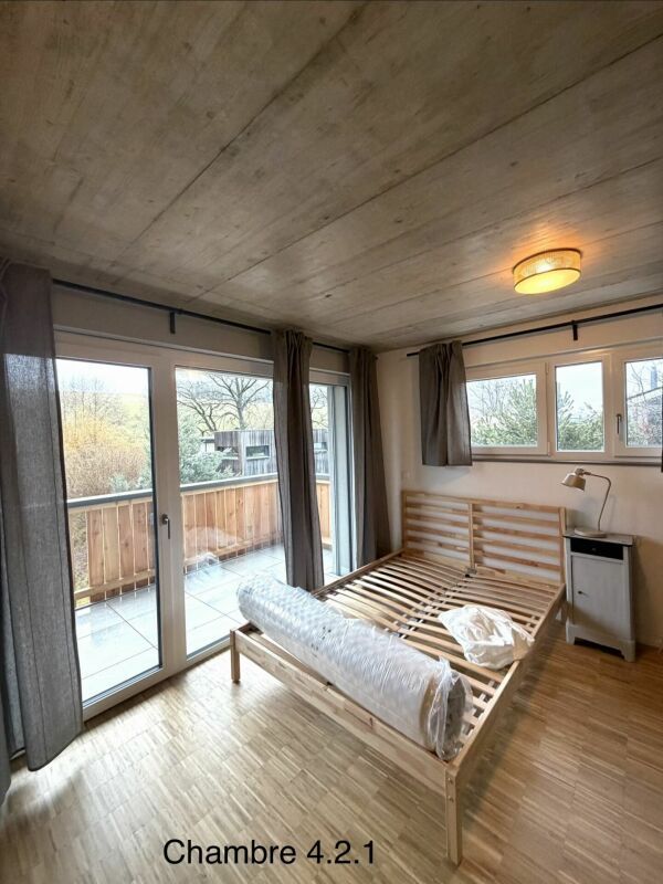 Nouvelle colocation haut de gamme - Chambres meublées avec balcon et terrasses à 2 pas de la gare de Châtel-St-Denis - Bild 12