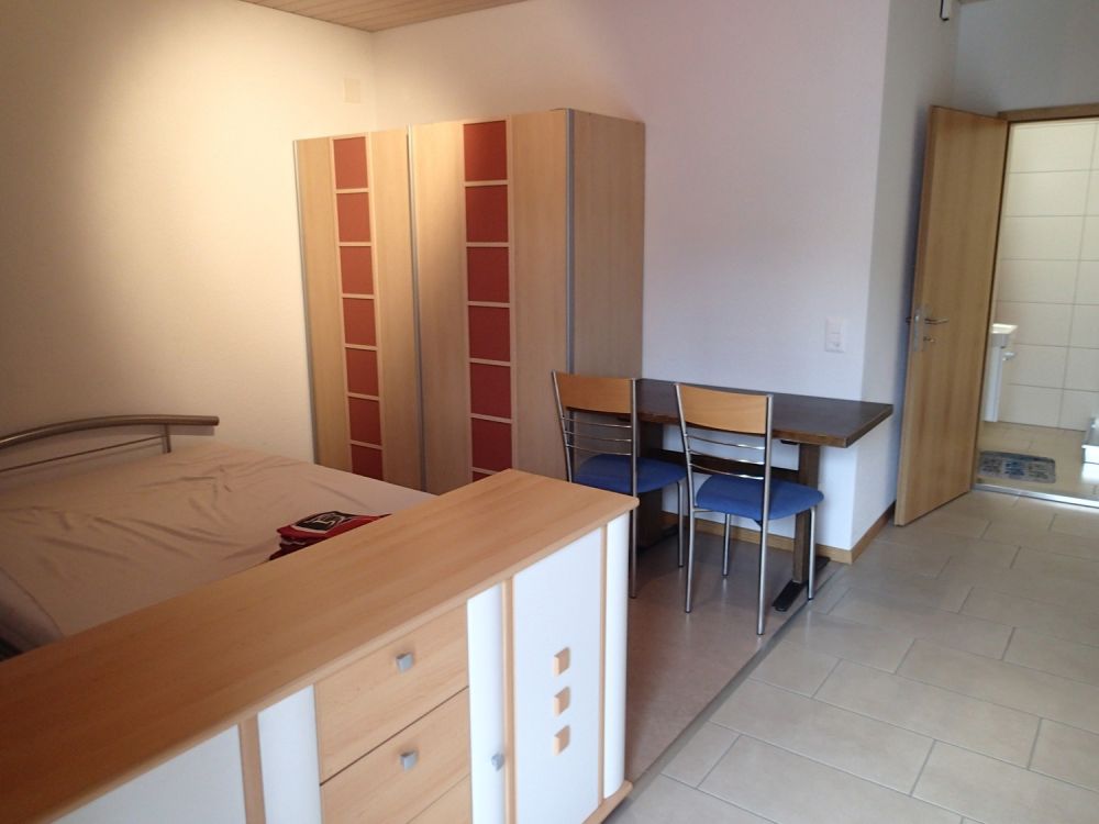 möblierte 1 Zi Wohnung in Remigen - Bild 1