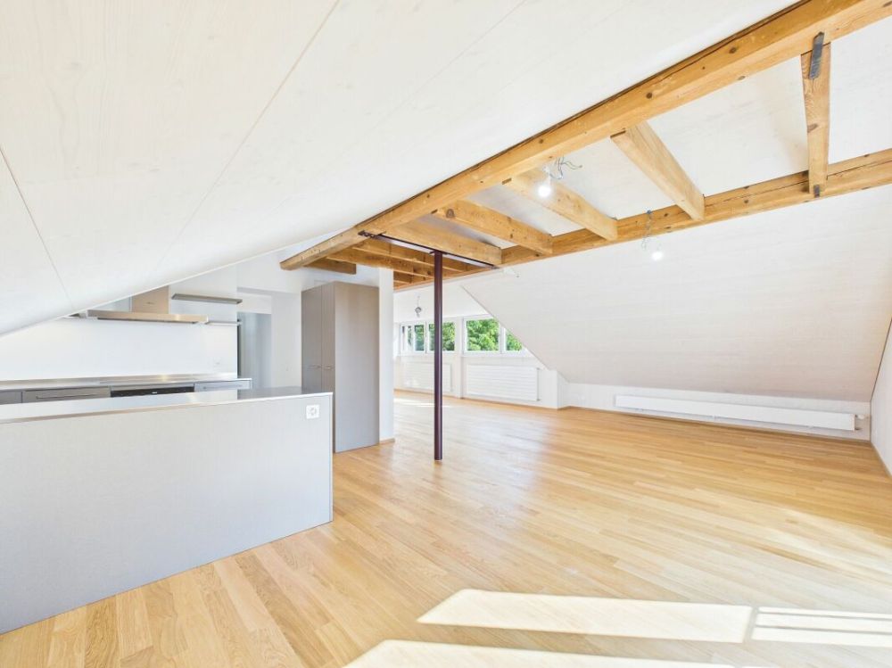 Sehr grosszügige, lichtdurchflutete, frisch renovierte Dachwohnung - Bild 9
