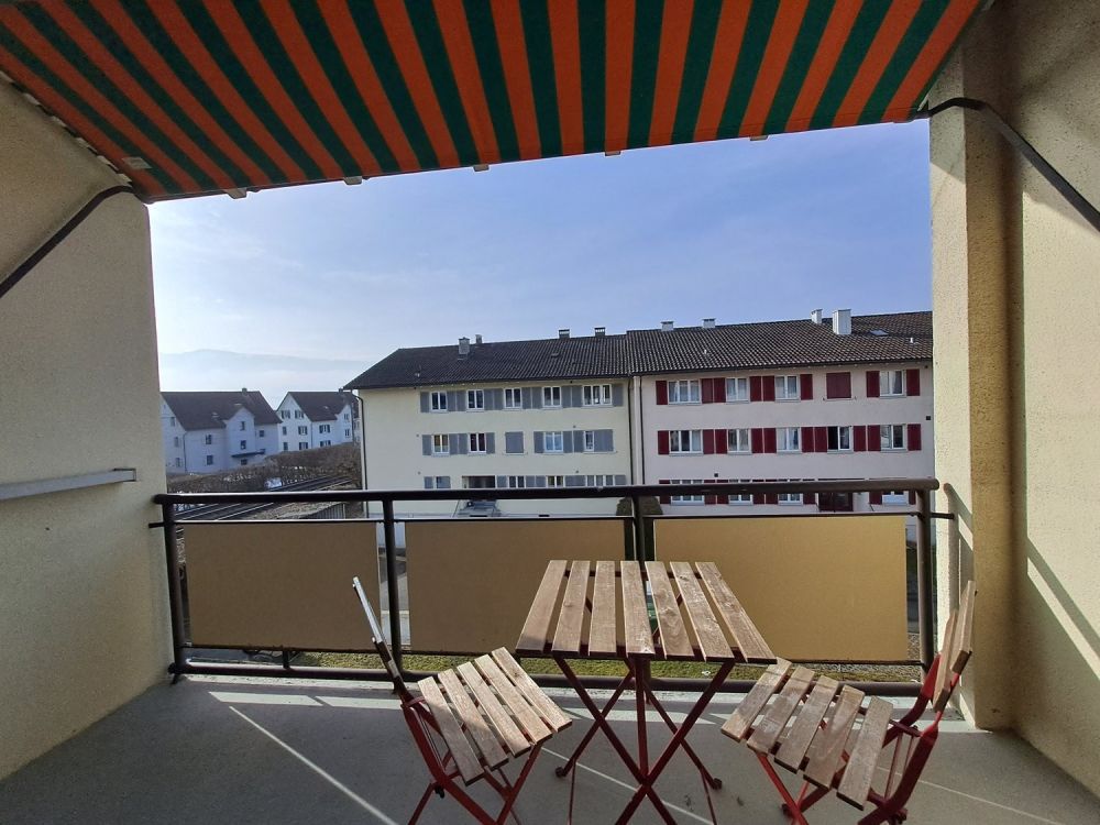 Gemütliche 3-Zi. Wohnung in Rapperswil-Jona - 20260125_120658
