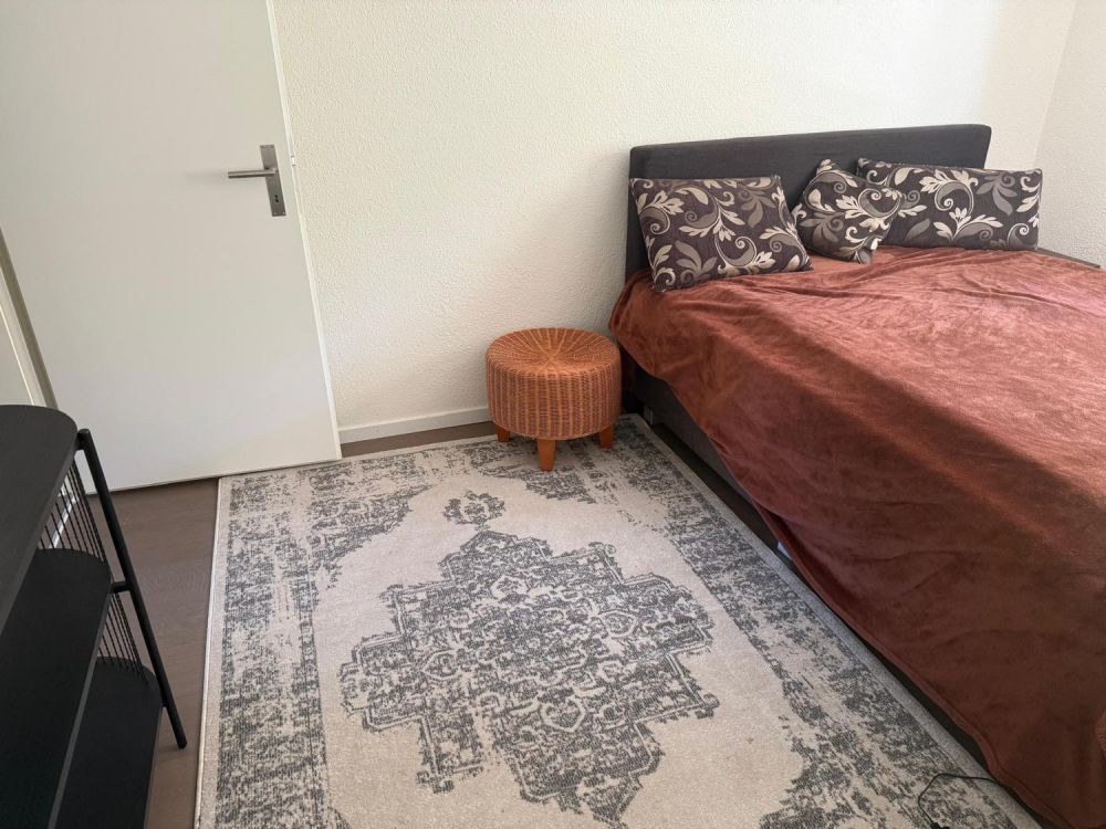 Hochwertiges, grosses Zimmer (24qm) in ruhiger Frauen-WG - Bild 4