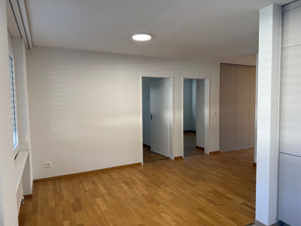 Erstvermietung nach Sanierung – grosszügige 4.5-Zimmer-Wohnung mit Balkon - Bild 5