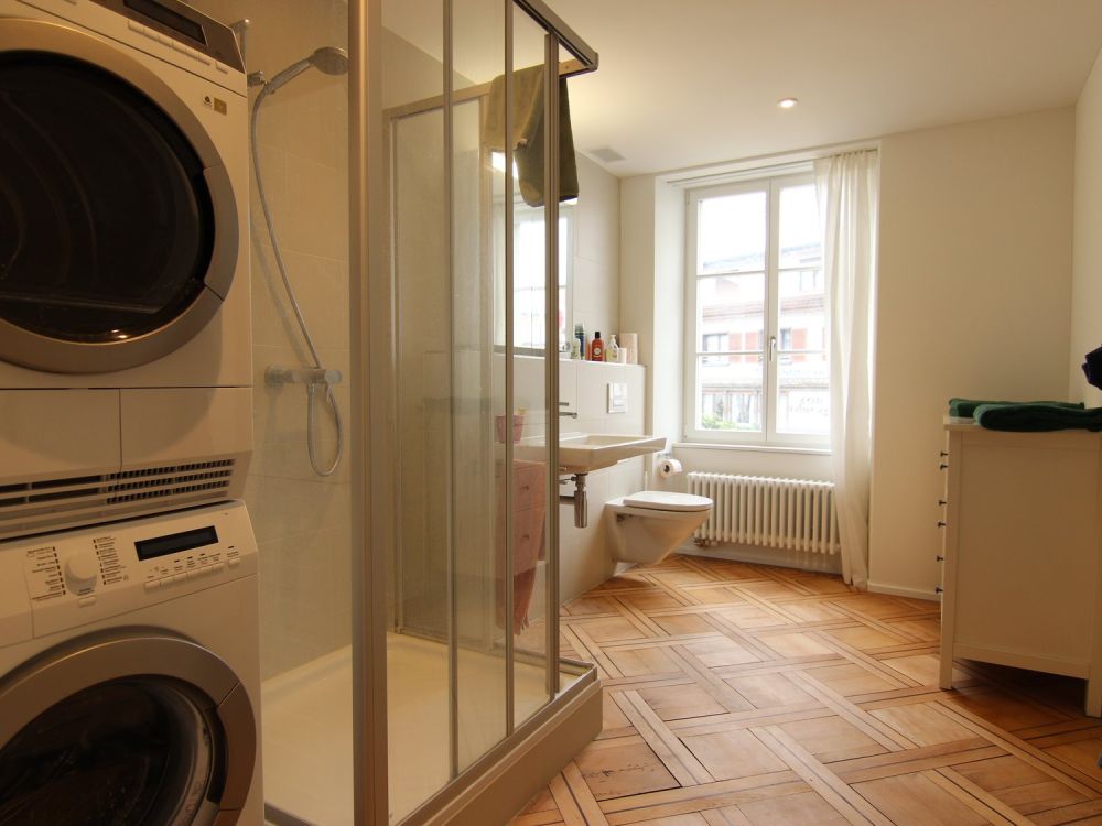 Modern und historisch wohnen  mitten im Dorfkern - Nasszelle mit Dusche und WC