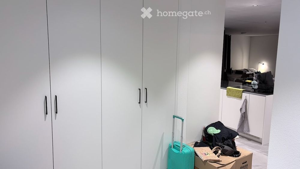 Brand New 4.5-Room Apartment in Rikon im Tössthal – Modern Living with Excellent Connectivity - Bild 8