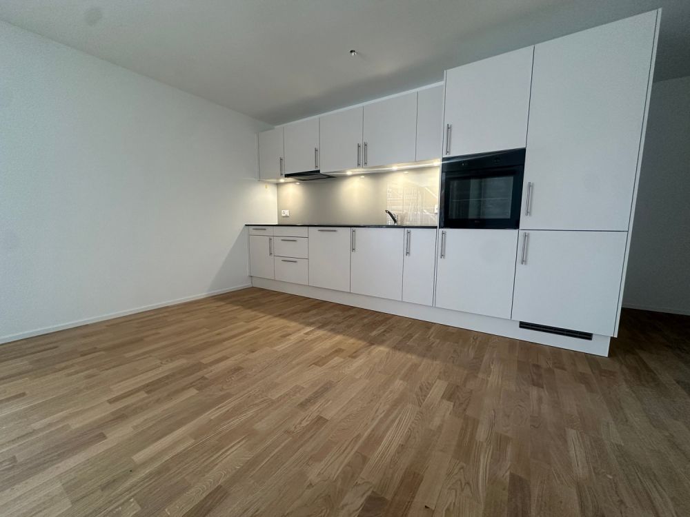 Moderne Neubau-3.5-Zimmerwohnung mit hochwertigem Ausbau - IMG_9652