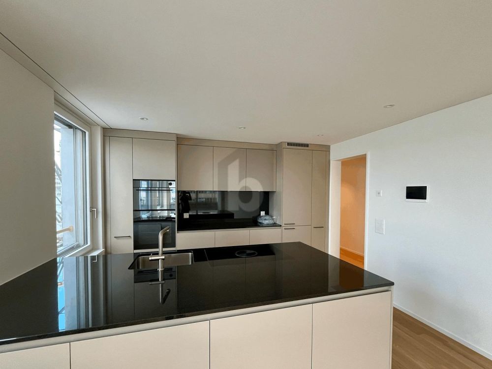 ERSTBEZUG: GROSSER BALKON, SICHT AUF DEN ÜETLIBERG - Bild 3