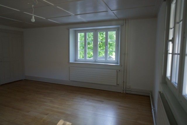 Helles WG-Zimmer im frisch renovierten Bauernhaus in Schwerzenbach "Villa Kunterbunt 2.0" - Bild 2