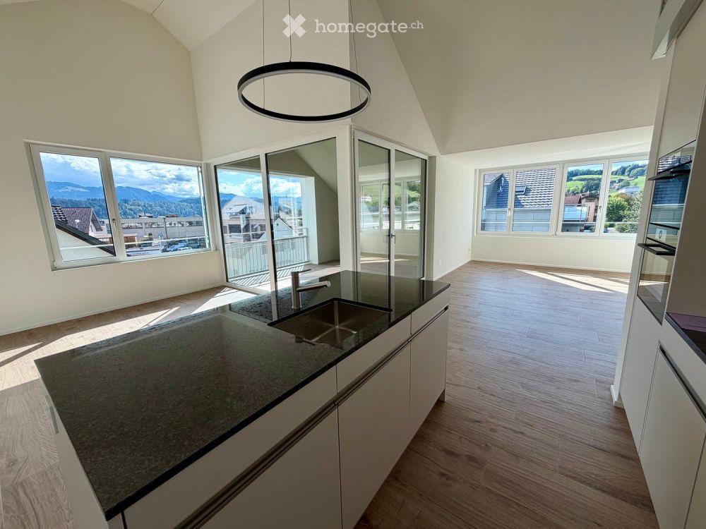 Erstvermietung 4.5 Zimmer-Attika/Dachwohnung mit Galerie und gedeckter Loggia - Bild 2