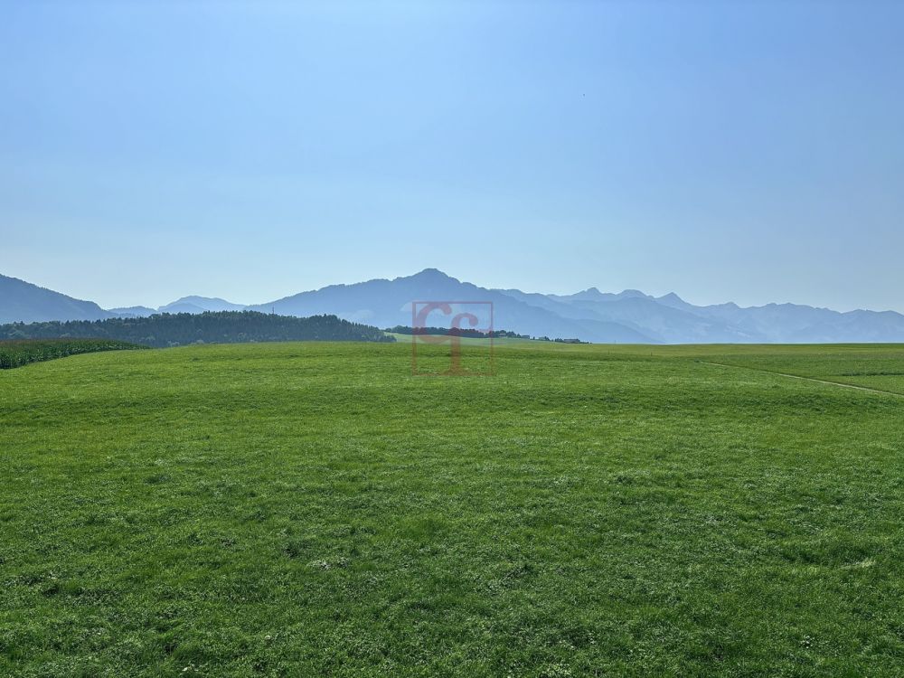 Plus que 2 magnifiques appartements d'exceptions de 4.5 pc. - Bild 4