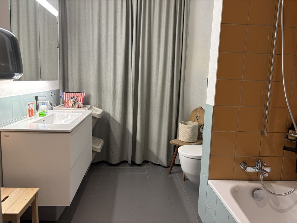 Helle 3.5-Zimmer-Neubauwohnung mit grosser Terrasse - Bild 6