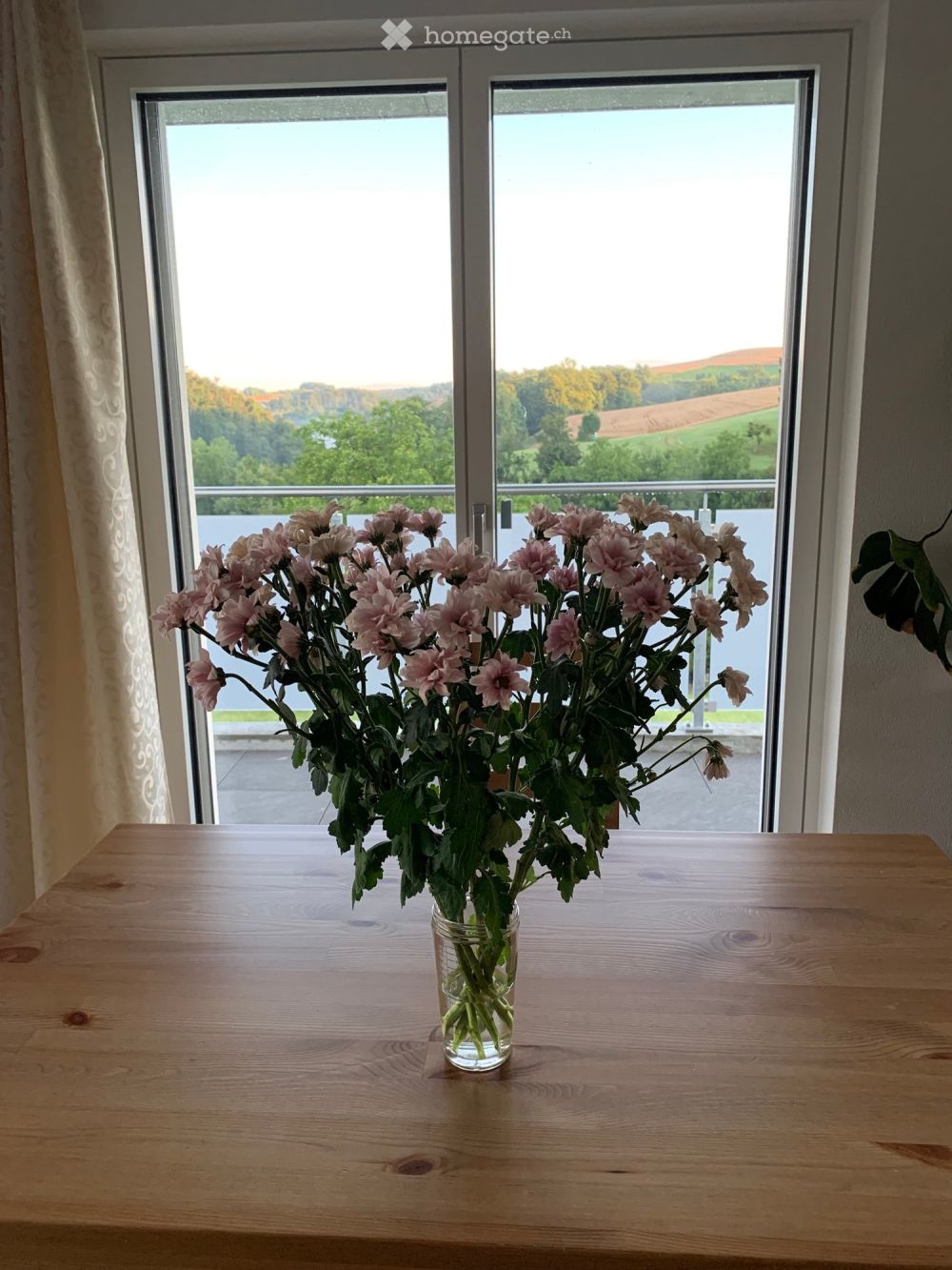 WG Zimmer ländlich, sonnig, ruhig, möbliert - Bild 1