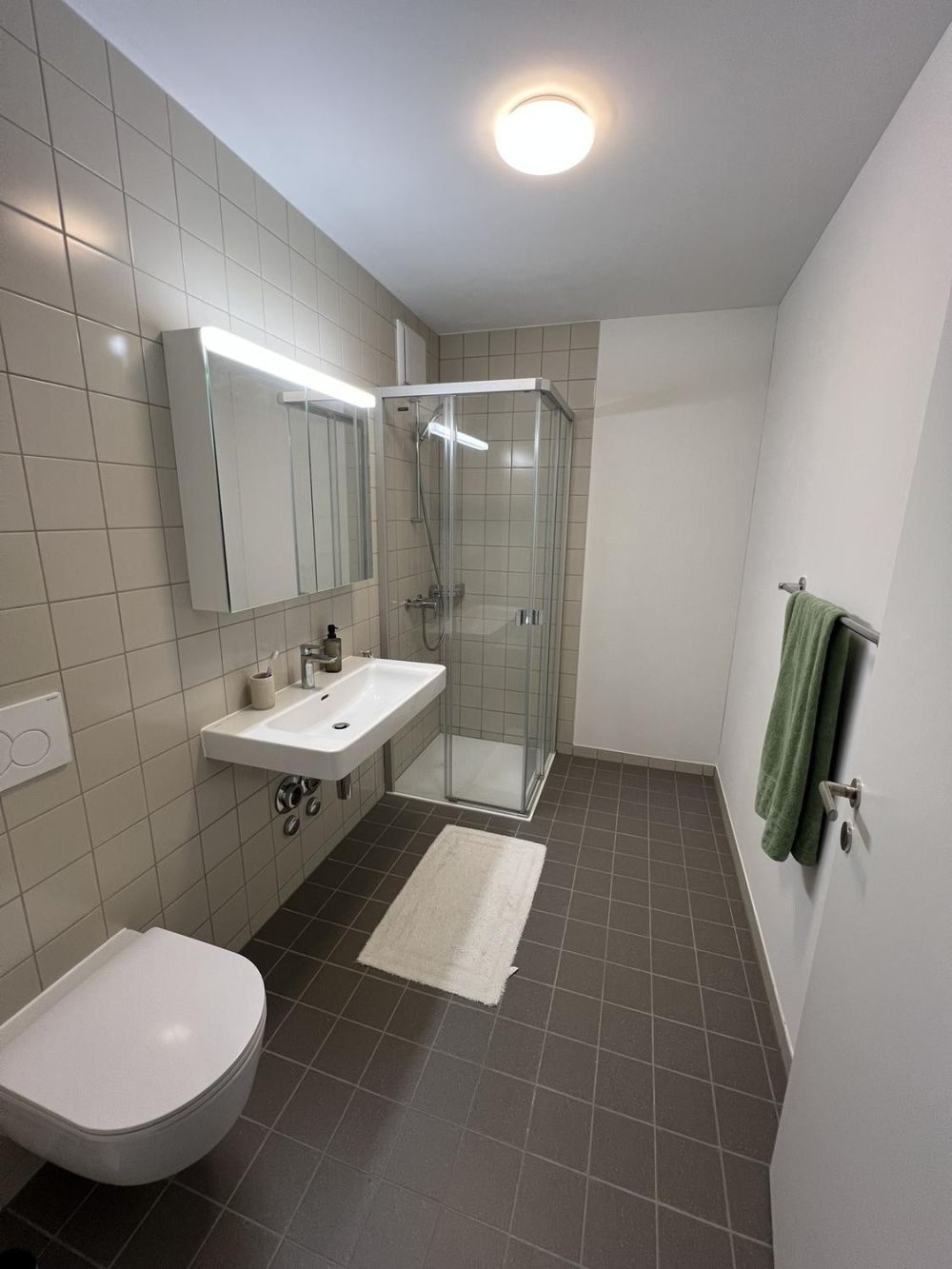 Moderne 2.5-Zimmer-Neubauwohnung mit Bergsicht  4 Min. zum Bahnhof Effretikon - Bild 6