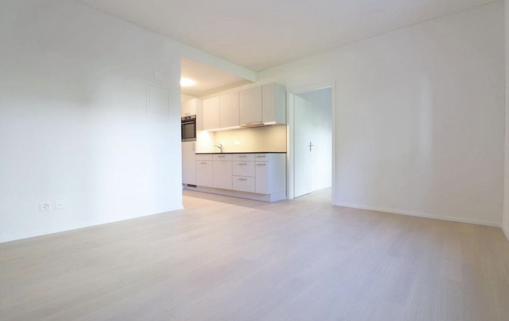 Top Wohnung in Horn! - Bild 2