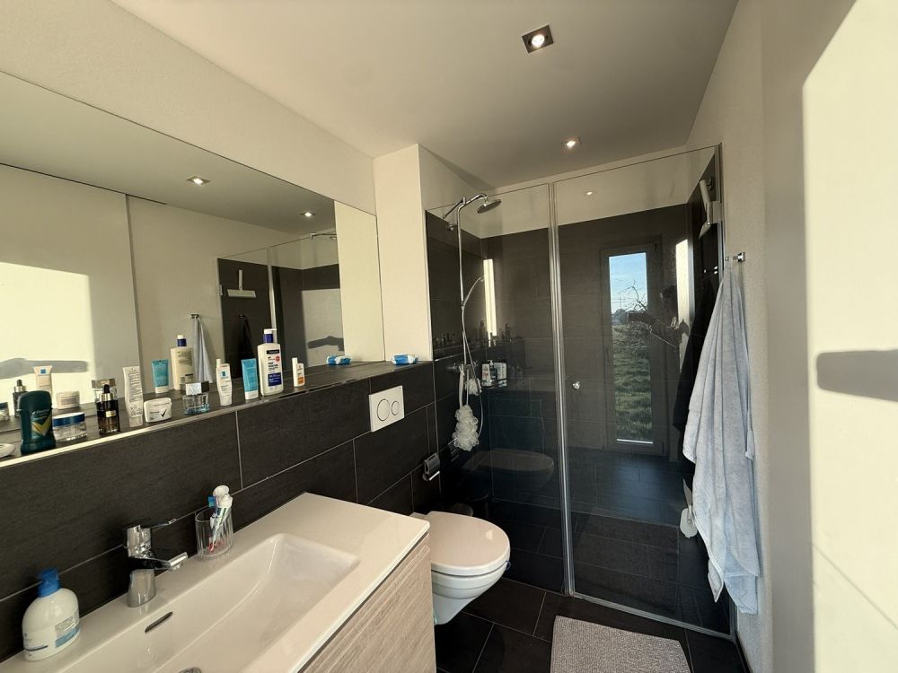 Charmante 4.5-Zimmerwohnung in Hägendorf - WC-Dusche