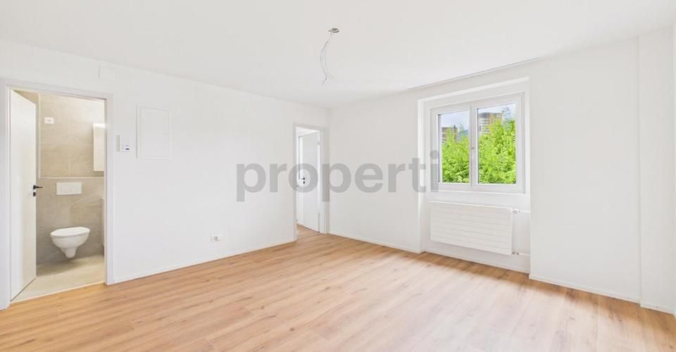 Erstbezug nach Renovation  Moderne 1.5-Zimmer-Wohnung mit Pilatusblick - Appartement 1.5 pièces - image - 4